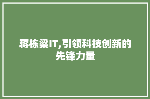 蒋栋梁IT,引领科技创新的先锋力量