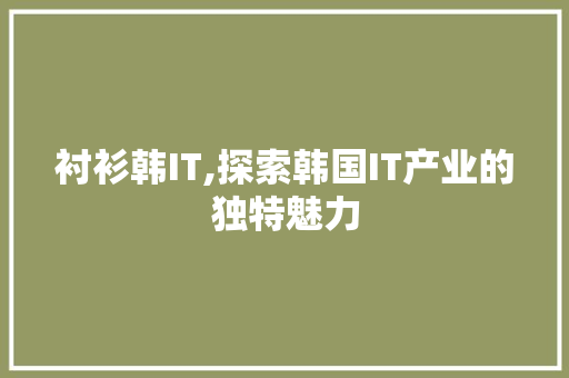 衬衫韩IT,探索韩国IT产业的独特魅力