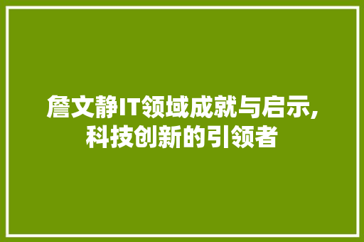 詹文静IT领域成就与启示,科技创新的引领者
