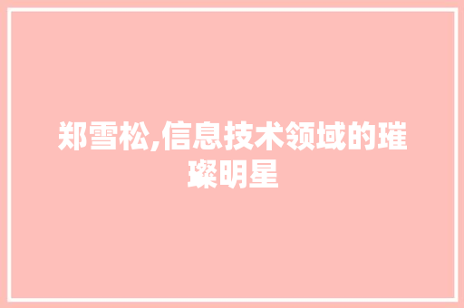 郑雪松,信息技术领域的璀璨明星