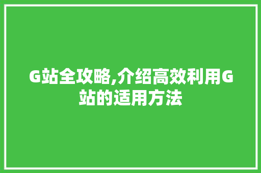 G站全攻略,介绍高效利用G站的适用方法