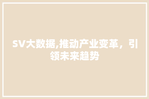 SV大数据,推动产业变革，引领未来趋势