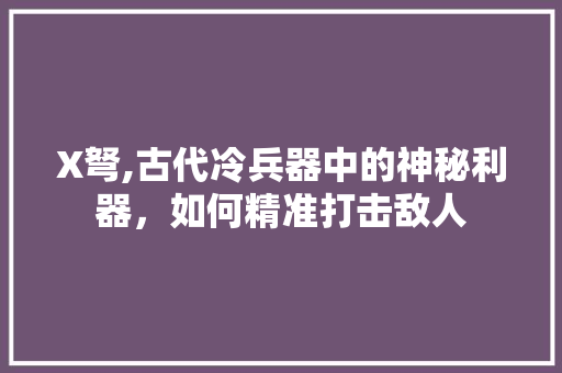 X弩,古代冷兵器中的神秘利器，如何精准打击敌人