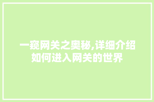 一窥网关之奥秘,详细介绍如何进入网关的世界