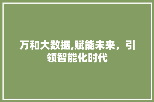 万和大数据,赋能未来，引领智能化时代