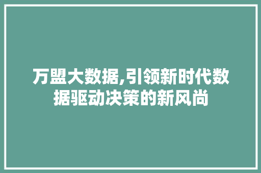 万盟大数据,引领新时代数据驱动决策的新风尚