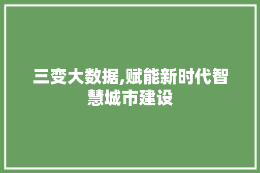 三变大数据,赋能新时代智慧城市建设
