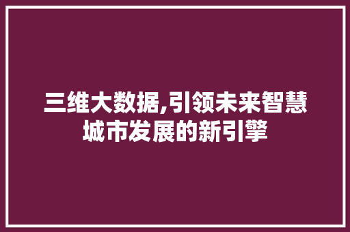 三维大数据,引领未来智慧城市发展的新引擎 三维大数据,引领未来智慧城市发展的新引擎