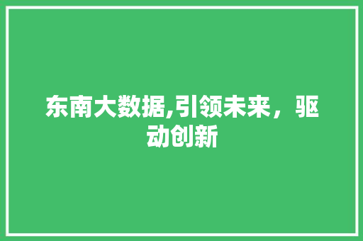 东南大数据,引领未来，驱动创新