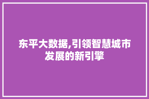 东平大数据,引领智慧城市发展的新引擎