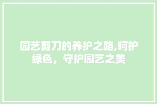 园艺剪刀的养护之路,呵护绿色，守护园艺之美