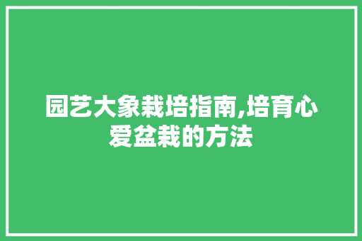 园艺大象栽培指南,培育心爱盆栽的方法