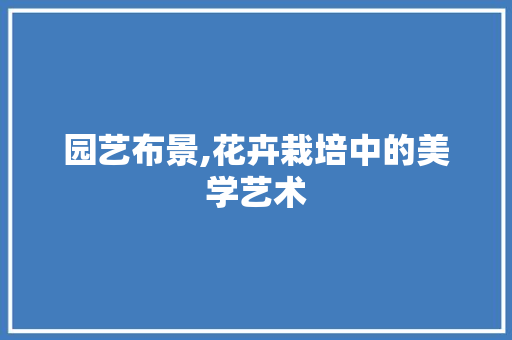 园艺布景,花卉栽培中的美学艺术