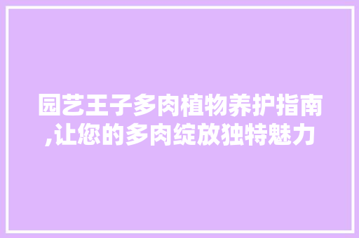 园艺王子多肉植物养护指南,让您的多肉绽放独特魅力