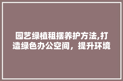 园艺绿植租摆养护方法,打造绿色办公空间，提升环境品质