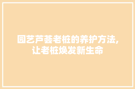 园艺芦荟老桩的养护方法,让老桩焕发新生命