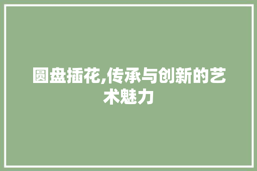 圆盘插花,传承与创新的艺术魅力 植物种类 圆盘插花,传承与创新的艺术魅力 植物种类
