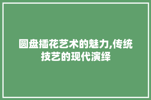 圆盘插花艺术的魅力,传统技艺的现代演绎