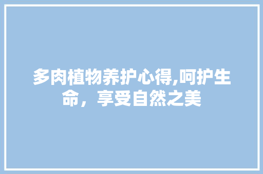 多肉植物养护心得,呵护生命,享受自然之美 多肉植物养护心得,呵护生命,享受自然之美