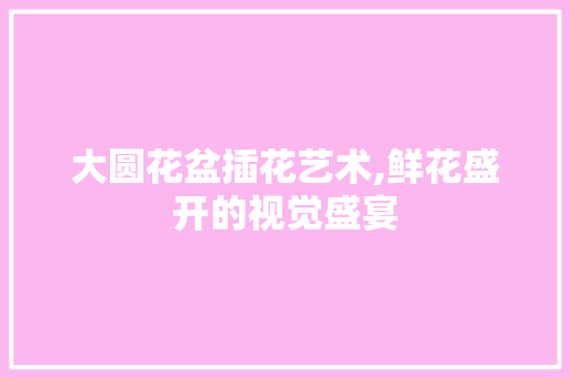 大圆花盆插花艺术,鲜花盛开的视觉盛宴