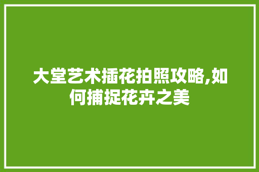 大堂艺术插花拍照攻略,如何捕捉花卉之美