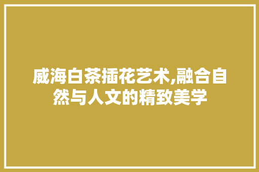 威海白茶插花艺术,融合自然与人文的精致美学