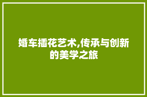 婚车插花艺术,传承与创新的美学之旅
