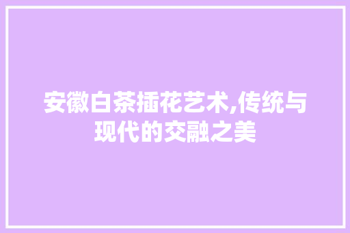 安徽白茶插花艺术,传统与现代的交融之美