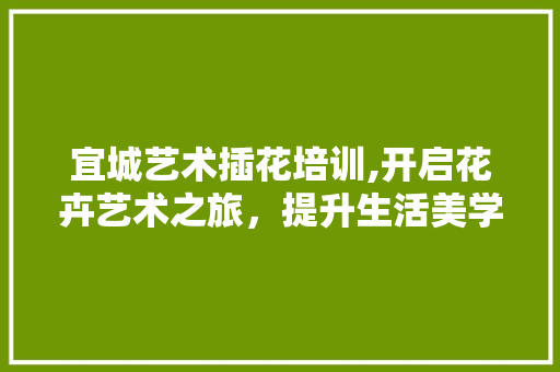 宜城艺术插花培训,开启花卉艺术之旅，提升生活美学