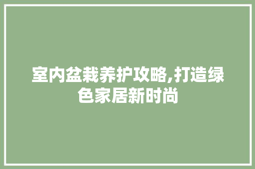 室内盆栽养护攻略,打造绿色家居新时尚