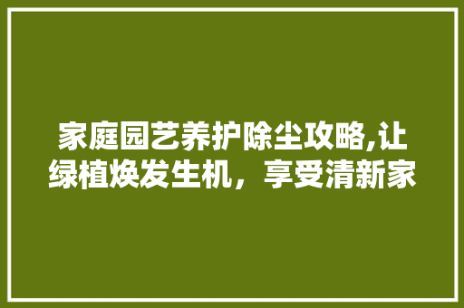 家庭园艺养护除尘攻略,让绿植焕发生机，享受清新家居