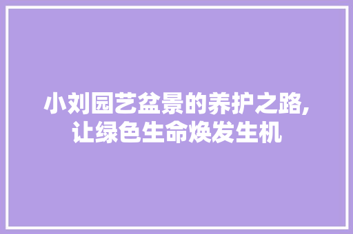 小刘园艺盆景的养护之路,让绿色生命焕发生机 小刘园艺盆景的养护之路,让绿色生命焕发生机