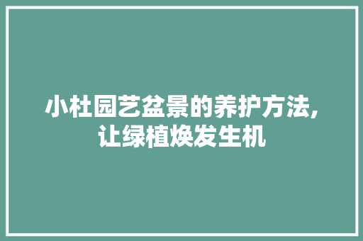 小杜园艺盆景的养护方法,让绿植焕发生机 小杜园艺盆景的养护方法,让绿植焕发生机