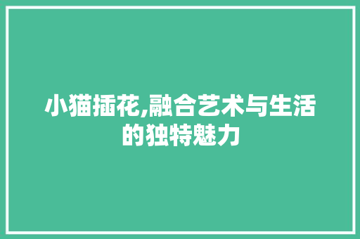 小猫插花,融合艺术与生活的独特魅力 小猫插花,融合艺术与生活的独特魅力