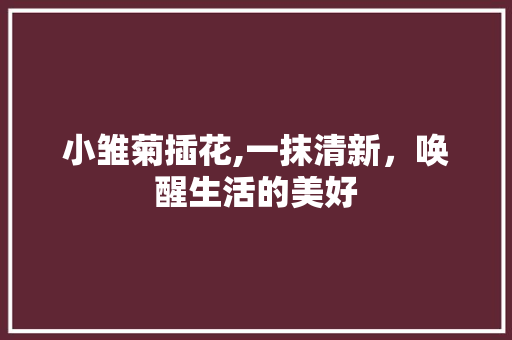 小雏菊插花,一抹清新，唤醒生活的美好
