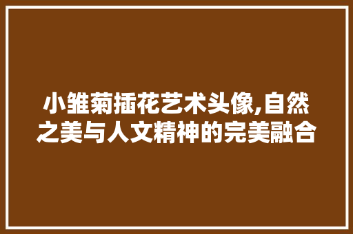 小雏菊插花艺术头像,自然之美与人文精神的完美融合