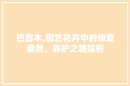 巴西木,园艺花卉中的绿意盎然，养护之路探析