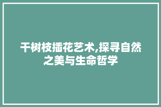干树枝插花艺术,探寻自然之美与生命哲学