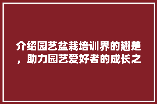 介绍园艺盆栽培训界的翘楚，助力园艺爱好者的成长之路