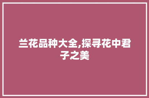兰花品种大全,探寻花中君子之美
