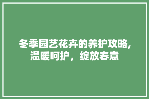 冬季园艺花卉的养护攻略,温暖呵护，绽放春意