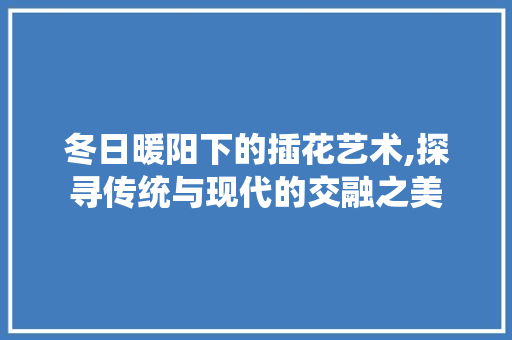 冬日暖阳下的插花艺术,探寻传统与现代的交融之美