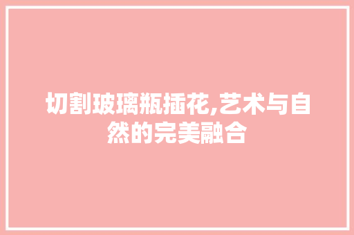 切割玻璃瓶插花,艺术与自然的完美融合