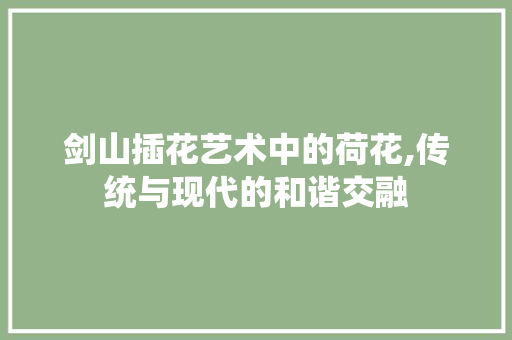 剑山插花艺术中的荷花,传统与现代的和谐交融
