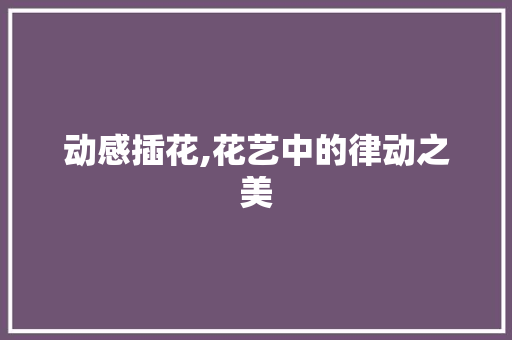 动感插花,花艺中的律动之美