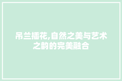 吊兰插花,自然之美与艺术之韵的完美融合 农业常识