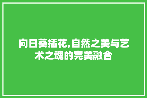 向日葵插花,自然之美与艺术之魂的完美融合
