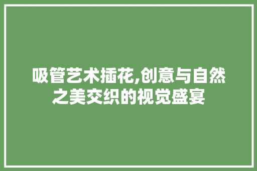 吸管艺术插花,创意与自然之美交织的视觉盛宴