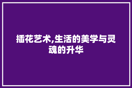 插花艺术,生活的美学与灵魂的升华