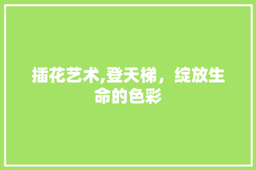 插花艺术,登天梯，绽放生命的色彩